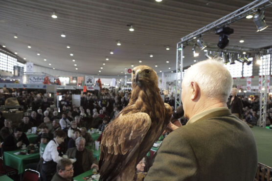 Veletrh JAGD & HUND 2014 bude rozšířen o další veletržní halu