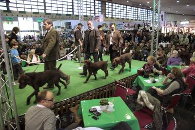 Veletrh JAGD & HUND 2014 - Rekordní počet návštěvníků